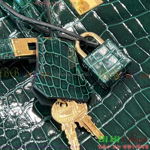 #޽ Ų 25 hcp moreletii crocodile 35HE856621-1006