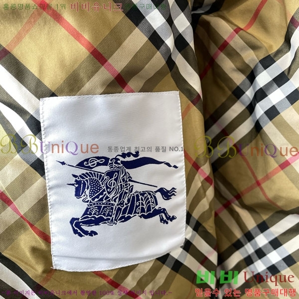 ���� ������ �ٿ� �е� BU154286