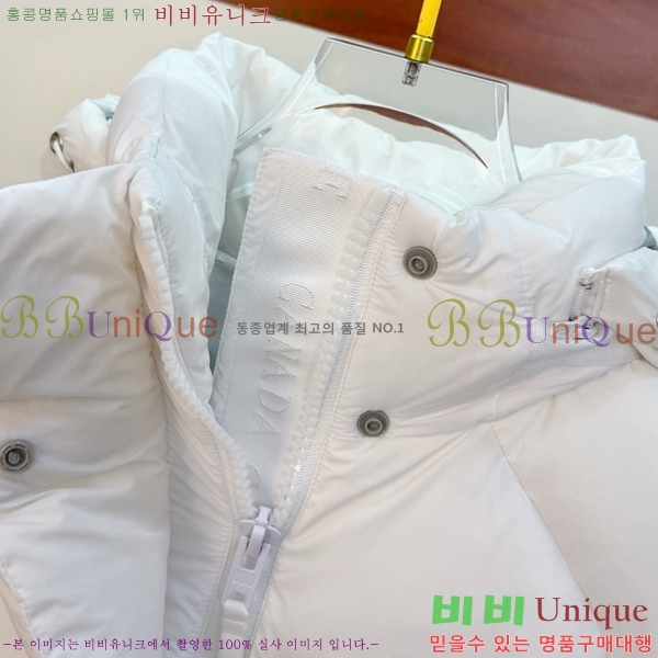 �������� ĳ���ٱ��� �ٿ� �е� CAG215556-2