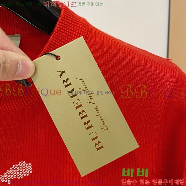 ���� ������ ������ BU376841