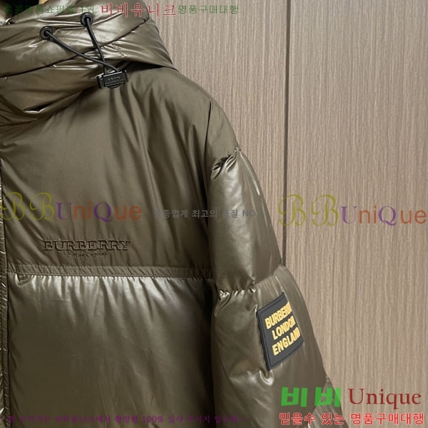 ���� ������ �ٿ� �е� BU154377-2