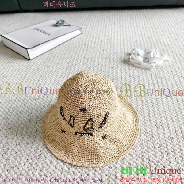 ��* ���� CH2520891-1