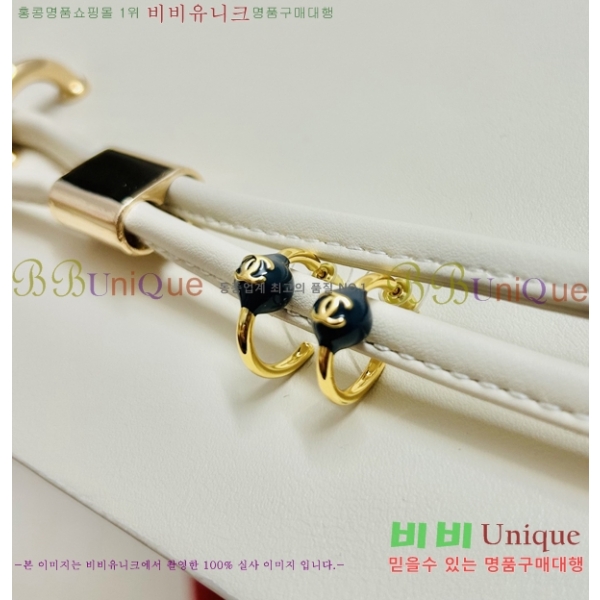 ��* �Ͱ��� CHA2460883-17 (���� ����)
