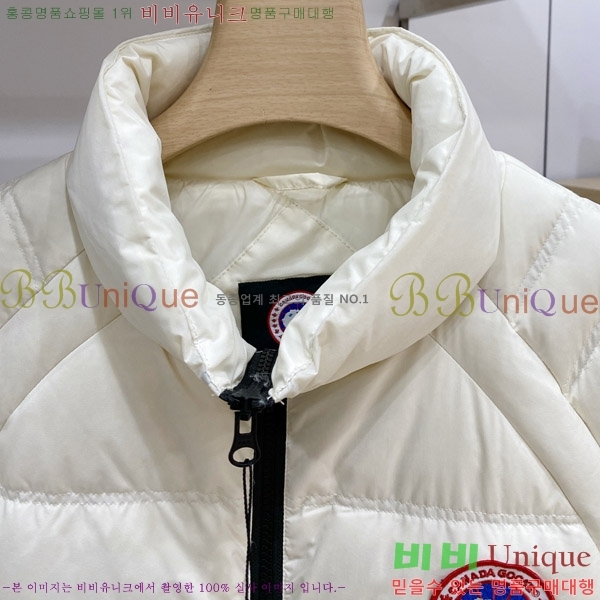 ���� ĳ���� ���� �ٿ� �е� CA974021-1