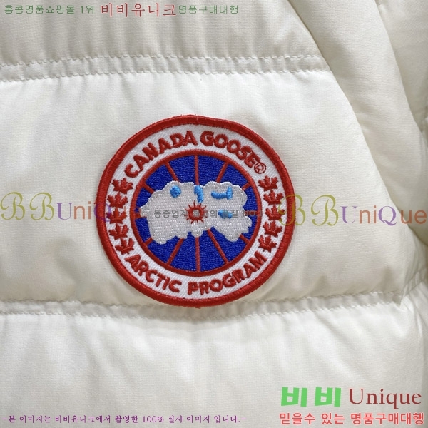 ���� ĳ���� ���� �ٿ� �е� CA974021-1