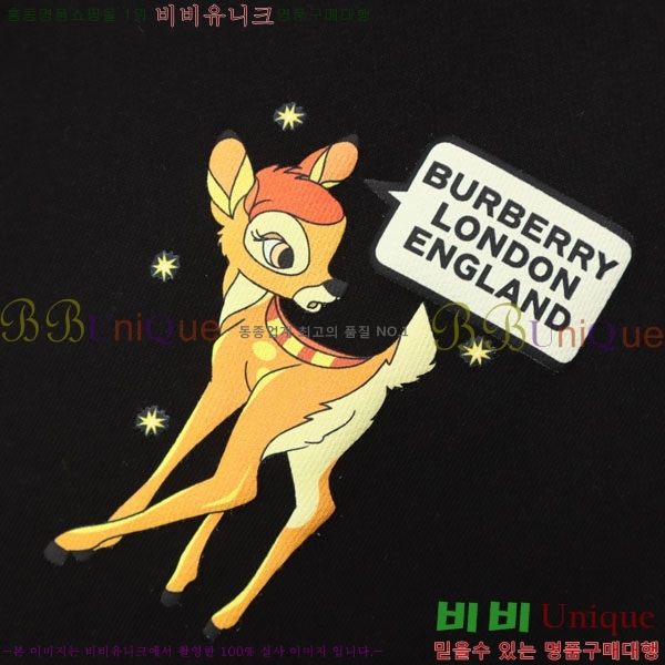 ���� ������ �ĵ�Ƽ BU385189-2